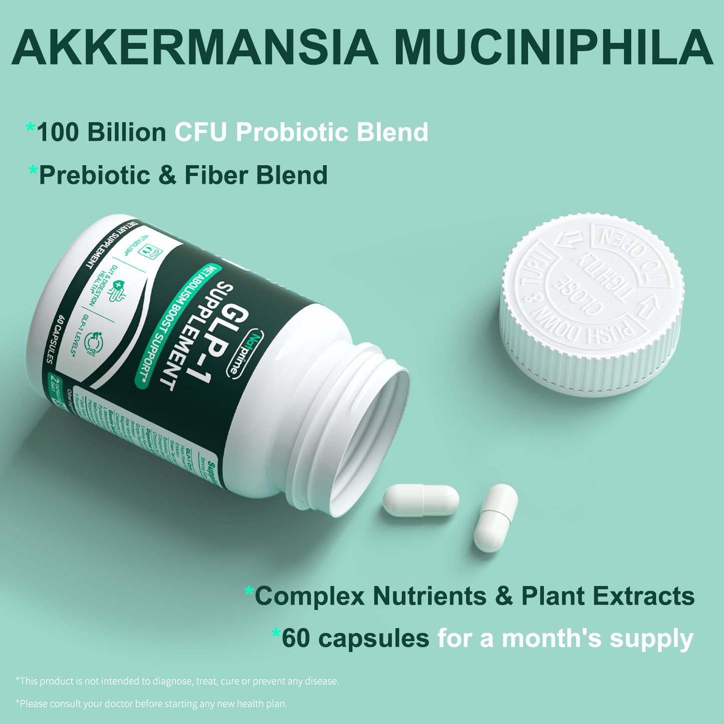 GLP-1 Supplement